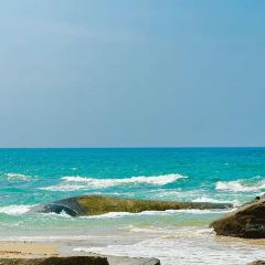 小海豚海鲜广场(清水湾店) User Photo