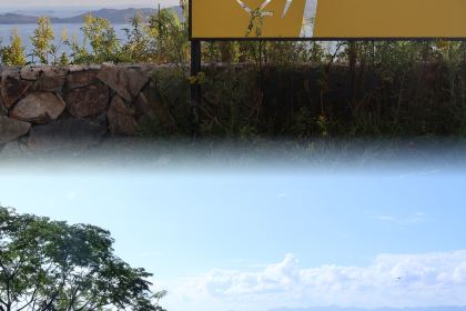 张小花奶茶铺(体育馆店)