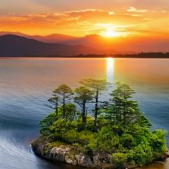 正宗会理鸡火丝(龙眼井店) User Photo