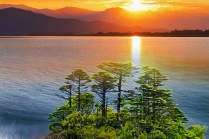 正宗会理鸡火丝(龙眼井店)