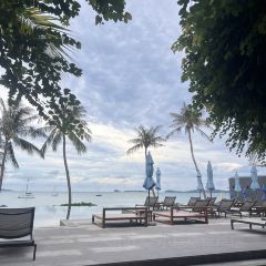 Sabienglae lamai張用戶圖片