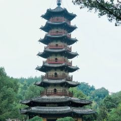 徐记煨盐鸡 User Photo