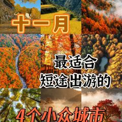 yang seafood User Photo