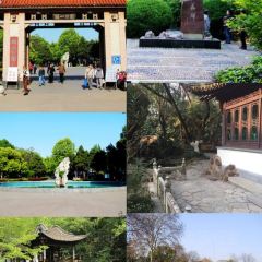 TONG QING LOU 여행 사진