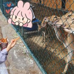 马守疆包头老馆子 User Photo