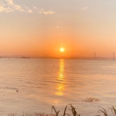 老鬍牛肉粿 여행 사진