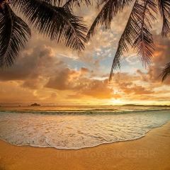 海岛日记(养马岛店) User Photo