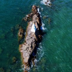 Coffee Cove User Photo