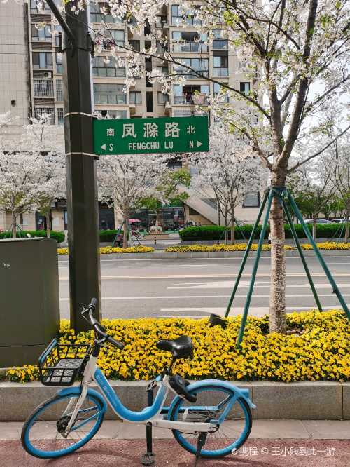 shui xi men ya zi dian ( feng chu lu dian )