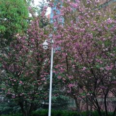 貴州師範學院張用戶圖片