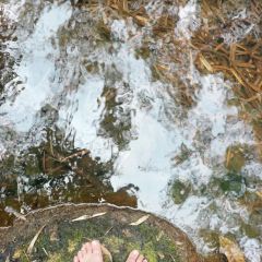 小众户外烧烤 User Photo