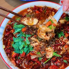 LI ER JIE DOU HUA FAN User Photo