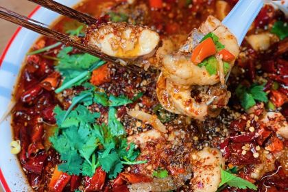 LI ER JIE DOU HUA FAN