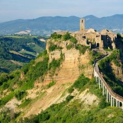 Gelateria Dondoli張用戶圖片