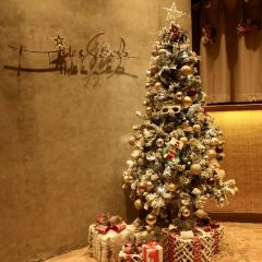 Hide&Seek User Photo