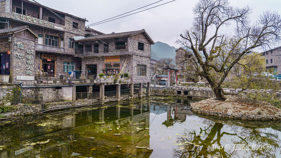 ce heng bei nai gu zhai