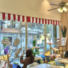 物也張用戶圖片