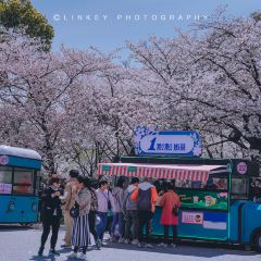 無邪張用戶圖片