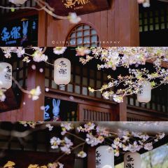 無邪張用戶圖片