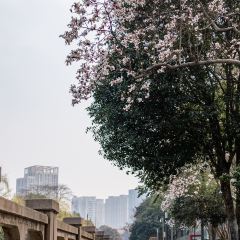 麥當勞（常州西瀛裡店）張用戶圖片