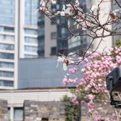 麥當勞（常州西瀛裡店）張用戶圖片