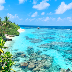 Sunset Pool Café User Photo