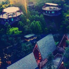 齐云山度假酒店· 祥瑞轩餐厅 User Photo