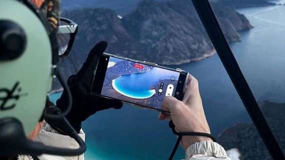 Tatler Lane by Sweetbrew