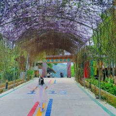 南坑咖啡观赏园 User Photo