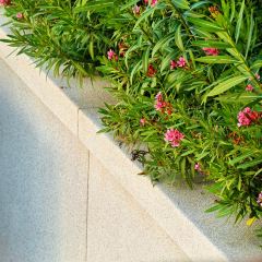 City Coffee Pattaya張用戶圖片