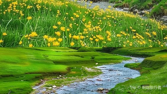 Zoige Grassland National Park
