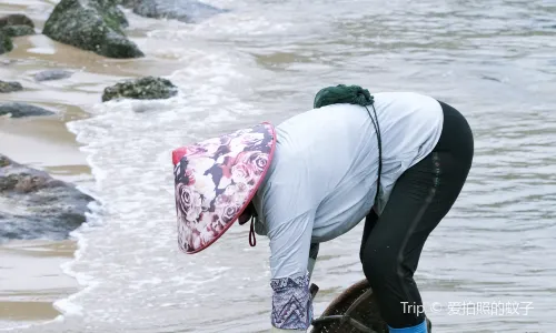 Beachcombing in Dongshan Island