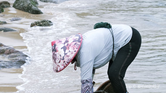 Beachcombing in Dongshan Island
