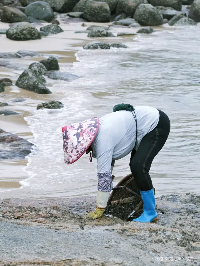 Beachcombing in Dongshan Island