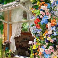 冷遇见暖庭院烤肉(芝麻街店) User Photo