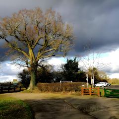 The Delhi Restaurant User Photo