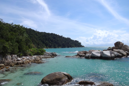 Snowy Bears Restaurant