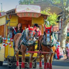 Paula's Pancake House User Photo