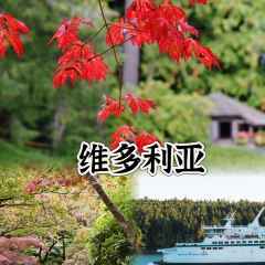 Red Fish Blue Fish User Photo