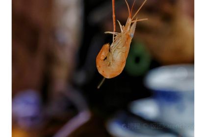 北江渔村·农家特色