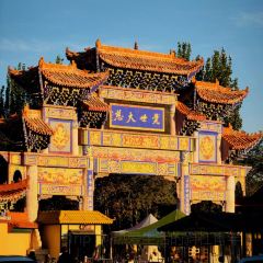 Wei jia yang gao rou ảnh của người dùng