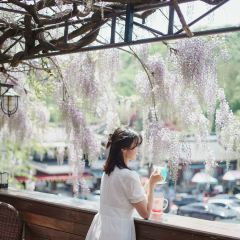 Wisteria Cafe User Photo