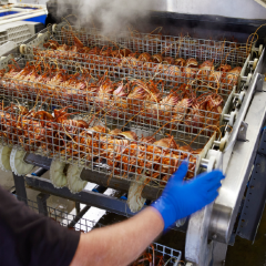 Lobster Shack Cervantes WA張用戶圖片
