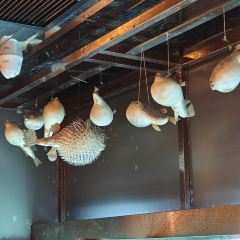 鲐赏河豚(徐汇店) User Photo