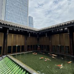 问山海 User Photo