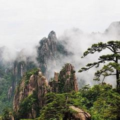柴火人家(桐庐总店) User Photo