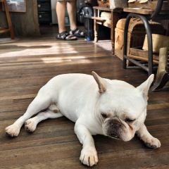也行Cafe User Photo