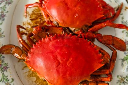 Stick Fishermen View Sea Food Restaurant