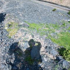 Shagou (miaopude) bishushanzhuang User Photo