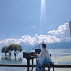 阿凯缇娅·安止樱落海景度假酒店·一间海景餐厅 User Photo